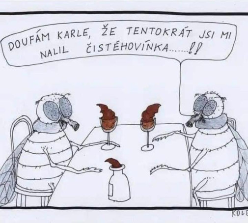 Čisté vínko